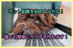 ネット副業を始めようかな！誰でも簡単にサイトを作れます！